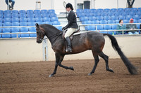 2019 Morgan Horse Show - Sept 01, 2019 - 04009