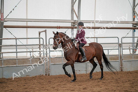 July 19, 2019 - 6231