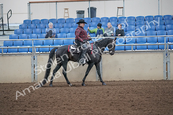 2019 Morgan Horse Show - Aug 31, 2019 - 10758