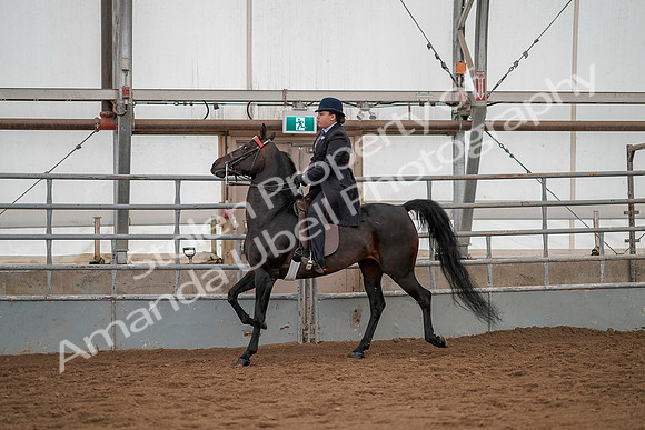 July 20, 2019 - 04208