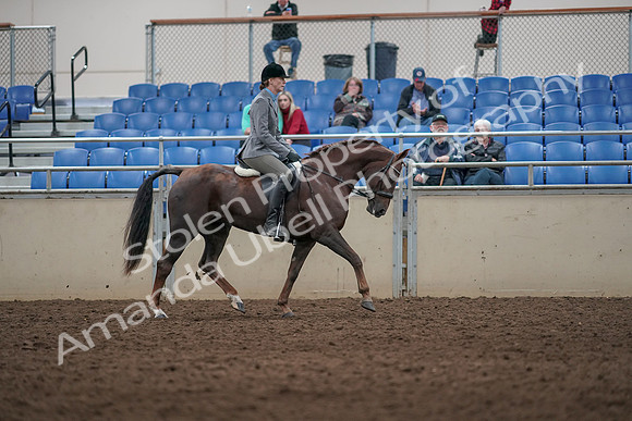2019 Morgan Horse Show - Aug 31, 2019 - 07433