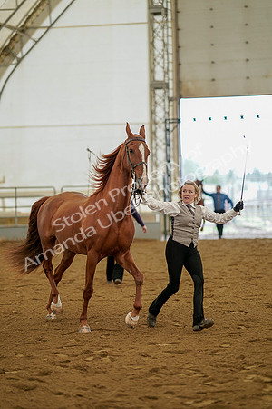 July 19, 2019 - 1095