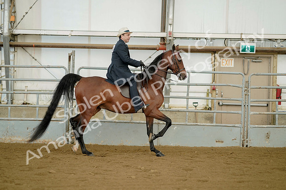July 21, 2019 - 01818