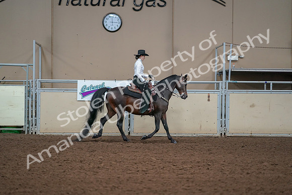 2019 Morgan Horse Show - Aug 30, 2019 - 17010
