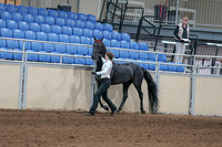 2020 - AB Morgan Horse - Sat, Sept 05 - 00042