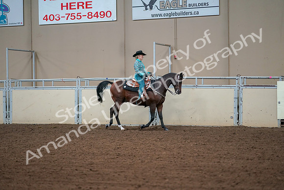 2019 Morgan Horse Show - Aug 30, 2019 - 17045