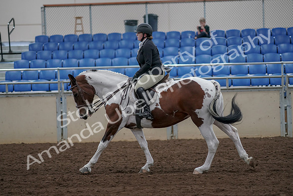 2019 Morgan Horse Show - Aug 30, 2019 - 14964