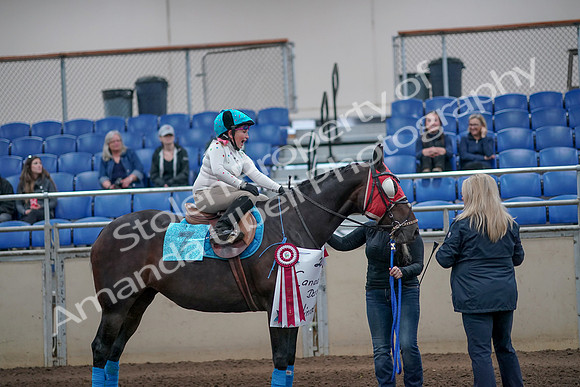 2019 Morgan Horse Show - Aug 31, 2019 - 10192
