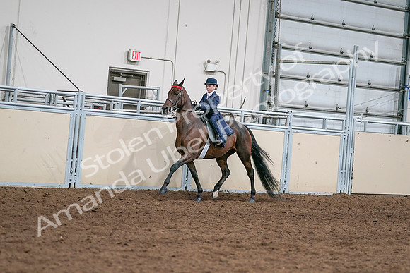 2020 - AB Morgan Horse - Sat, Sept 05 - 04797