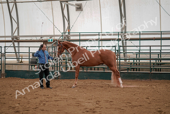July 19, 2019 - 1204