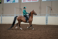2019 Morgan Horse Show - Aug 30, 2019 - 30641