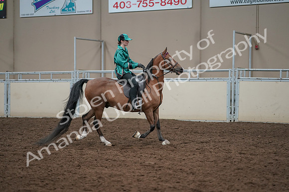 2019 Morgan Horse Show - Aug 30, 2019 - 30641