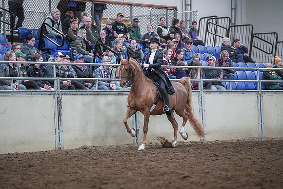 Spring Fling - Saturday - April 20, 2019  -  04318