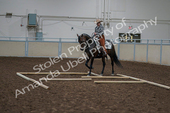 2020 - AB Morgan Horse - Fri, Sept 04 - 00369