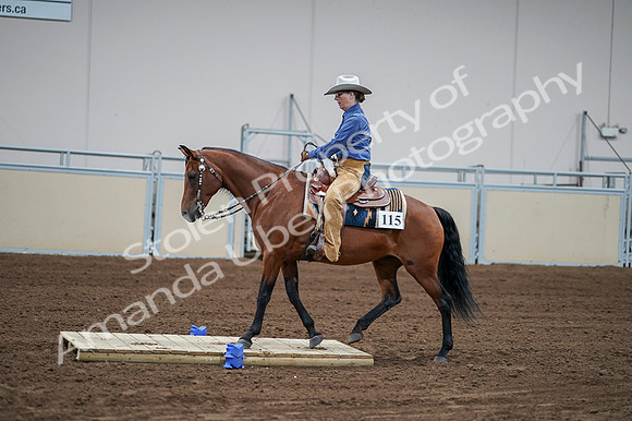 2020 - AB Morgan Horse - Fri, Sept 04 - 00170