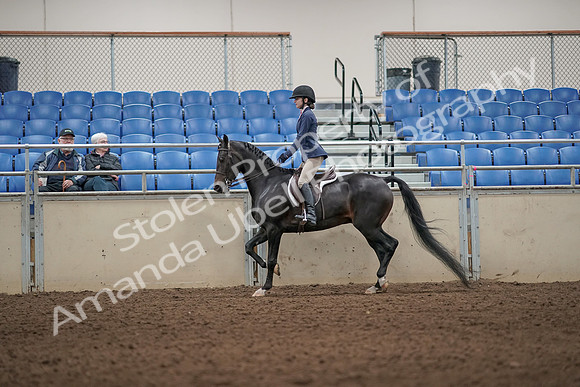 2019 Morgan Horse Show - Aug 31, 2019 - 04963