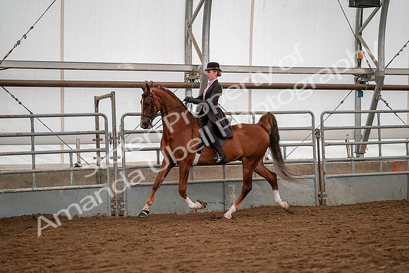 July 19, 2019 - 10330