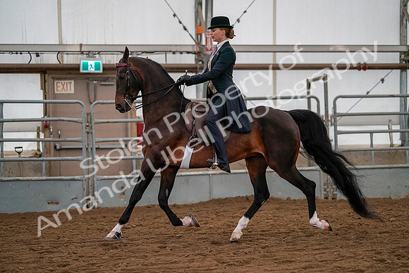 July 19, 2019 - 10410