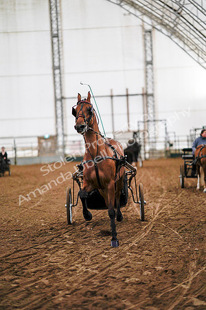 July 19, 2019 - 6797