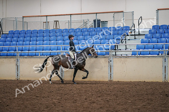 2019 Morgan Horse Show - Aug 30, 2019 - 12417