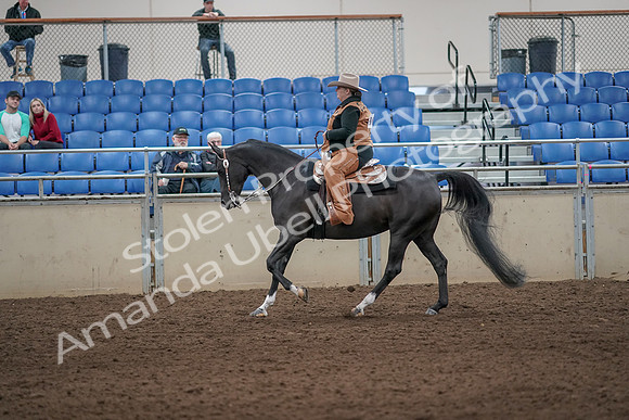 2019 Morgan Horse Show - Aug 31, 2019 - 06080