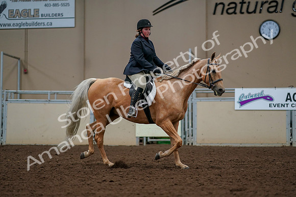 2019 Morgan Horse Show - Aug 30, 2019 - 22625
