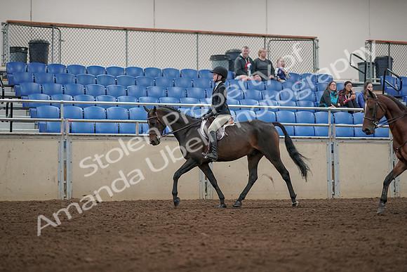 2019 Morgan Horse Show - Aug 31, 2019 - 04928
