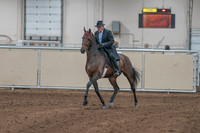 Class 122 - All Breed Eng Pl Jr-Limit Horse