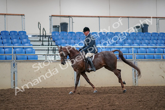 2019 Morgan Horse Show - Aug 30, 2019 - 17478