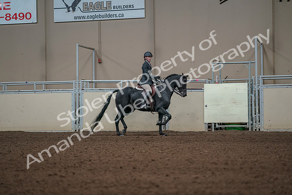 2019 Morgan Horse Show - Aug 31, 2019 - 05174