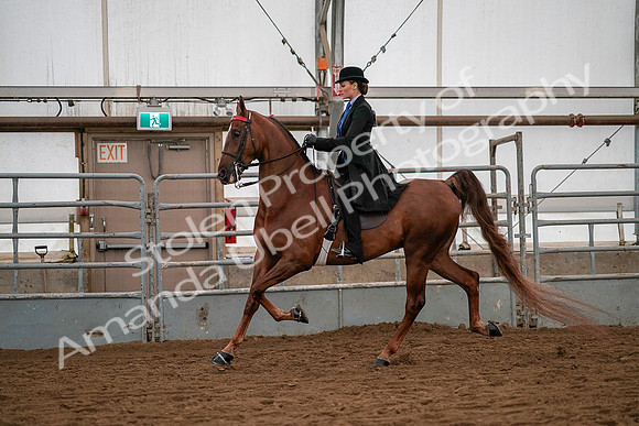 July 19, 2019 - 10311