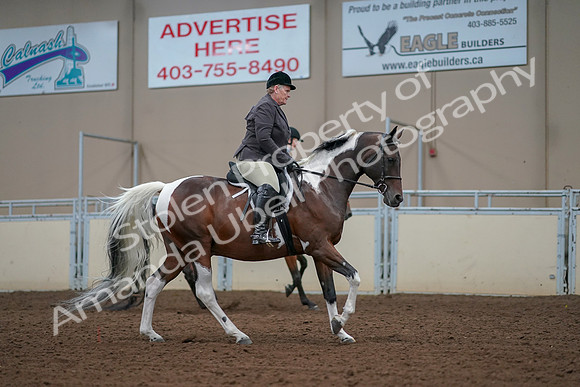 2019 Morgan Horse Show - Aug 30, 2019 - 16444