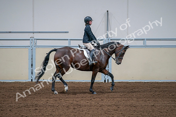 2020 - AB Morgan Horse - Fri, Sept 04 - 01810