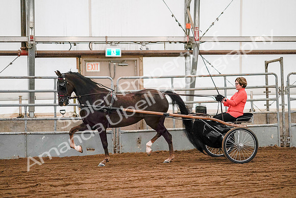 July 19, 2019 - 6985