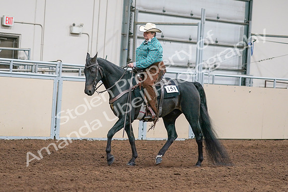 2020 - AB Morgan Horse - Sun, Sept 06 - 01575