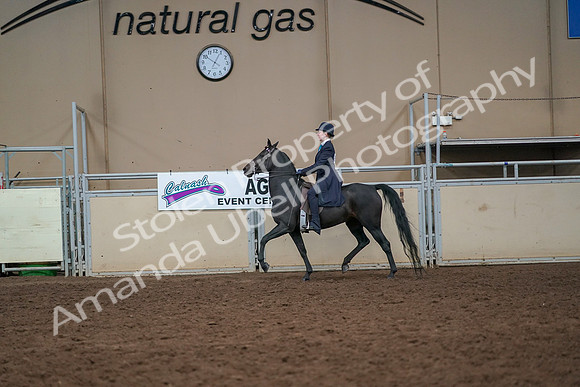 2019 Morgan Horse Show - Aug 30, 2019 - 12240