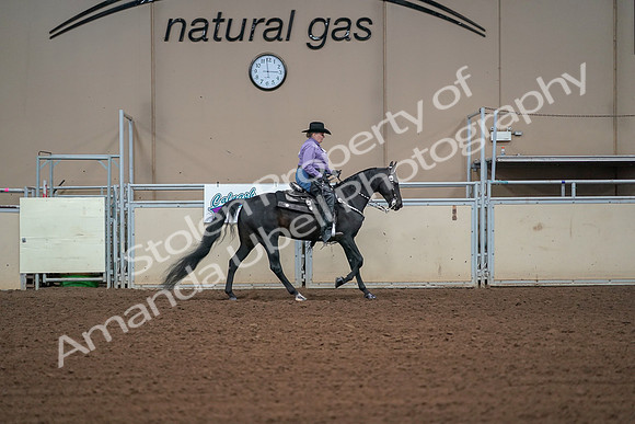2019 Morgan Horse Show - Aug 30, 2019 - 16986