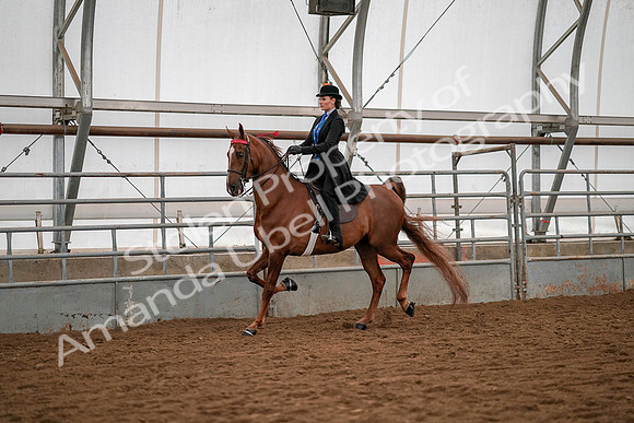 July 19, 2019 - 10453