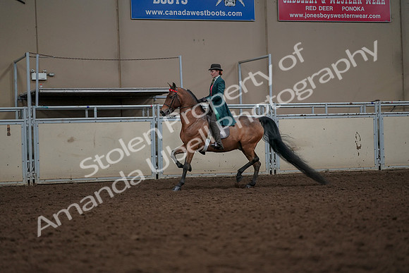 2019 Morgan Horse Show - Aug 30, 2019 - 27910