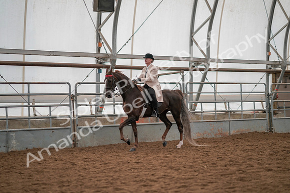 July 19, 2019 - 13073