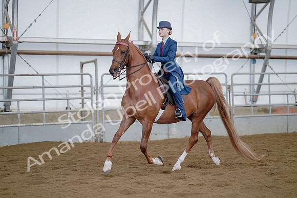 July 21, 2019 - 04659