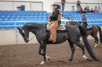 2019 Morgan Horse Show - Aug 31, 2019 - 06015