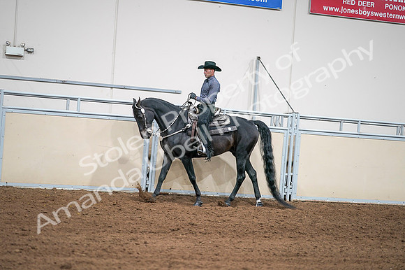 2020 - AB Morgan Horse - Fri, Sept 04 - 08392