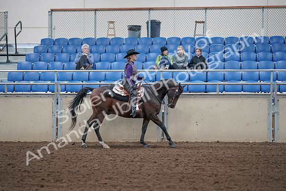 2019 Morgan Horse Show - Aug 31, 2019 - 10693