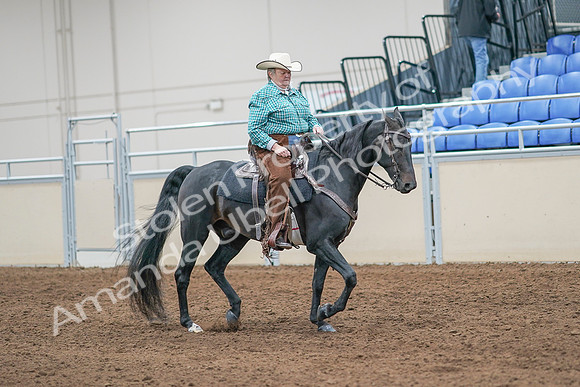 2020 - AB Morgan Horse - Sun, Sept 06 - 01623