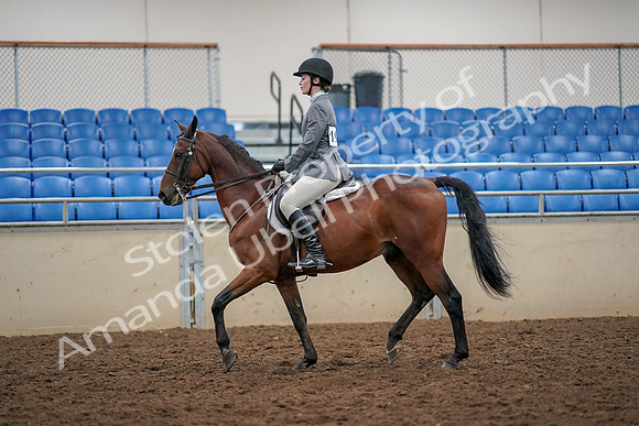 2019 Morgan Horse Show - Aug 30, 2019 - 23210