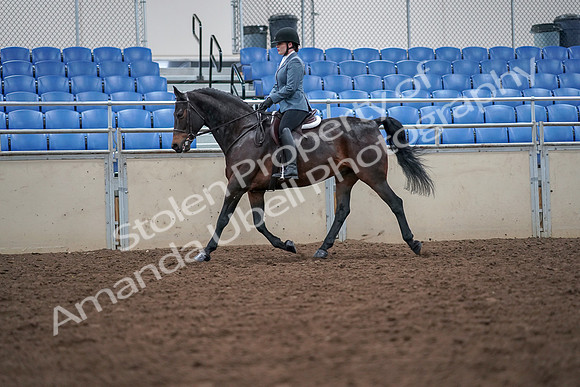 2019 Morgan Horse Show - Aug 30, 2019 - 18415