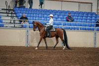 2020 - AB Morgan Horse - Sun, Sept 06 - 07476