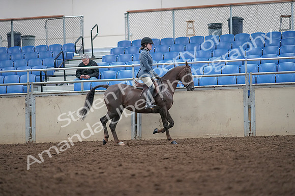 2019 Morgan Horse Show - Aug 31, 2019 - 16734