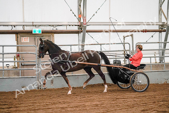 July 19, 2019 - 6980